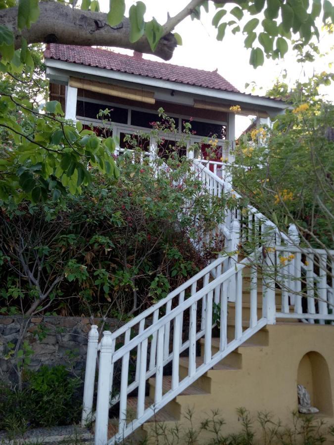Stairway To Heaven Bungalows And Restaurant Амед Экстерьер фото
